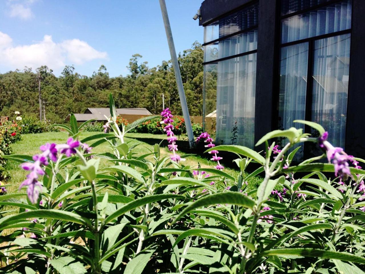 Kingsford Residences Nuwara Eliya Zewnętrze zdjęcie